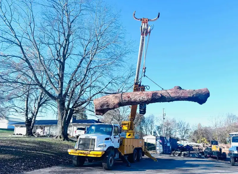 A crane lifting a long trunk section high over a street lined with bare winter trees