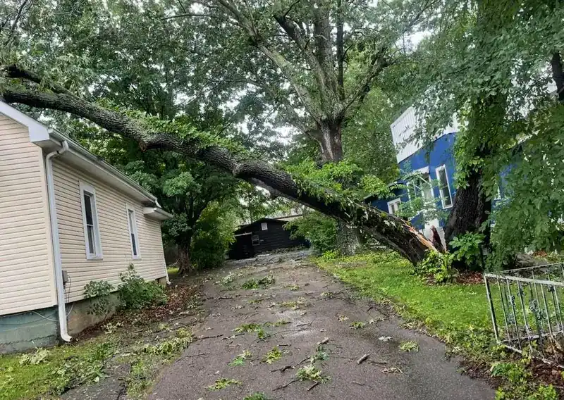 A large tree fallen across a driveway and onto the roof edge of a white house after a storm