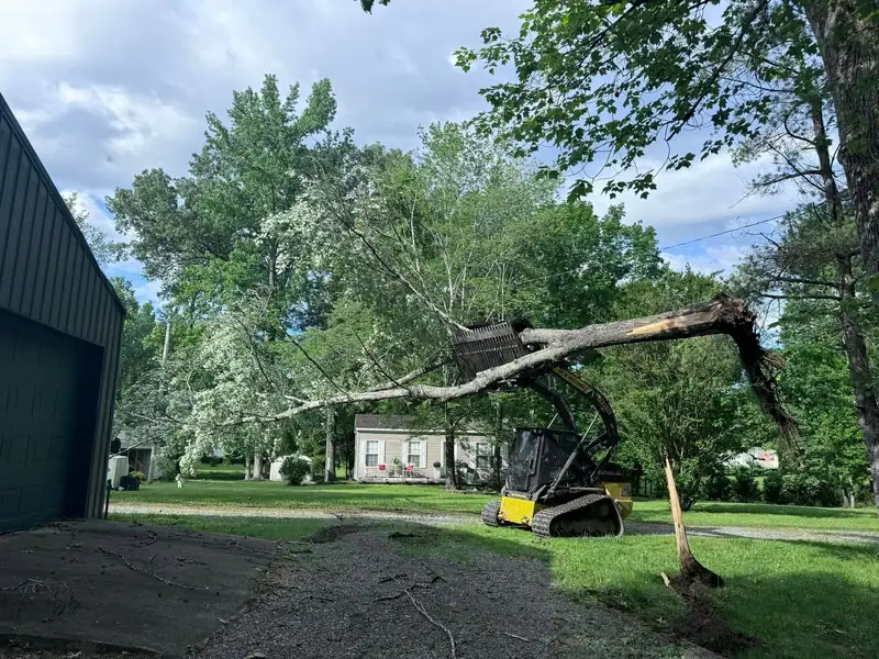 A track loader holding a huge storm-broken limb up off a lawn