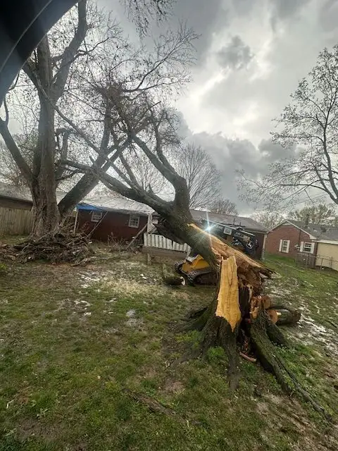 A storm-uprooted tree lying across a back yard beside a house